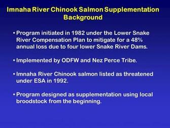 Imnaha River Chinook Salmon Supplementation Background Program
