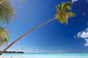 Beach Antigua And Barbuda Wallpaper