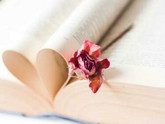 English Literature Wallpaper Become An