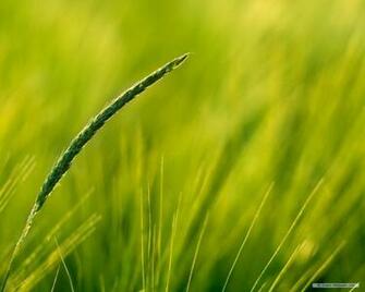 Nature Wallpaper HD Landscape