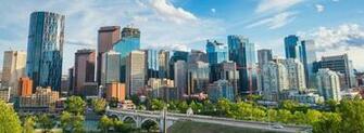 Ambius Calgary Office Plants Interior Plant Service