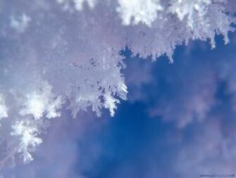 Snow Crystal Wallpaper Desktop Background