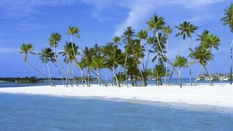 White Sand Beach Wallpaper