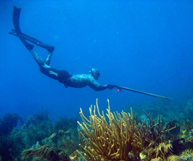 Scuba Scoop Dive Stories Diving Lessons For Life Is