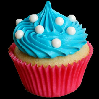 Everything Cupcakes