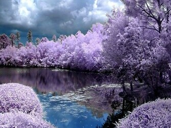 Spring Screensavers Wallpaper