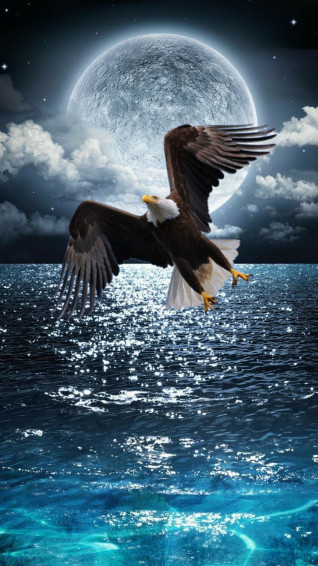 Eagle Flying Wallpaper
