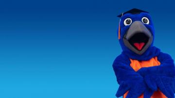 Microsoft Teams Background College Branding Toolbox Suny