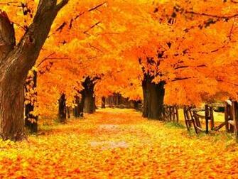Fall Screensavers Wallpaper