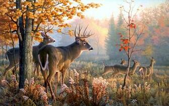 Deer Art Wallpaper HD