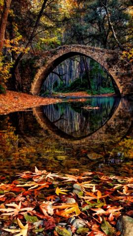 Autumn Wallpaper For iPhone Pro Max X