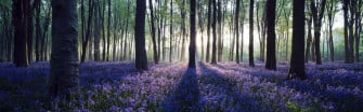 Panoramic Desktop Wallpaper