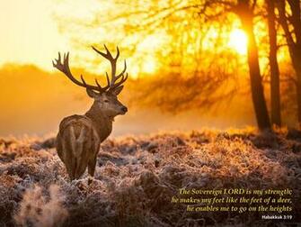 Inspirational Christian Nature HD Desktop Wallpaper Designbies