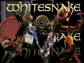Wallpaper Net Whitesnake Html Size