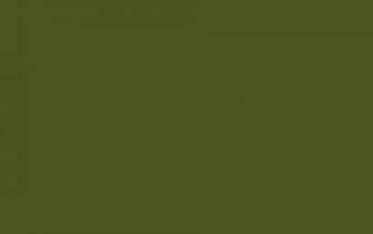 Green Solid Color Background And The Below