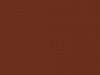 Liver Organ Solid Color Background