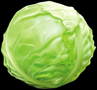 Cabbage Png Clipart Image Gallery Yopriceville High Quality