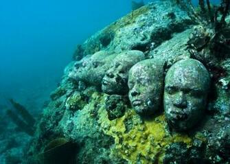 Dans La Mer Des Cara Bes Le Mus E Sous Marin De Canc N