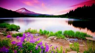 High Definition Car Super Sports Wallpaper Unique Nature Html