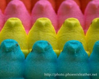 blue bunny peeps