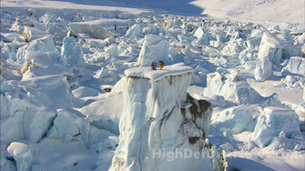 Wallpaper The Art Of Flight Film Information Title