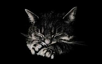 Shush I Am Sleeping Wallpaper Colorful Better