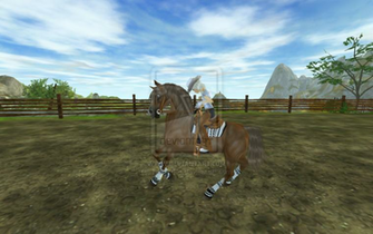 Star Stable Wallpaper Pictures