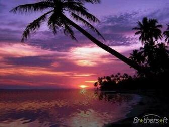 Tropical Sunset Desktop Wallpaper High Definition