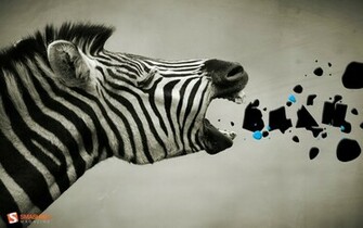 Zebra Wallpaper For Computer Desktop