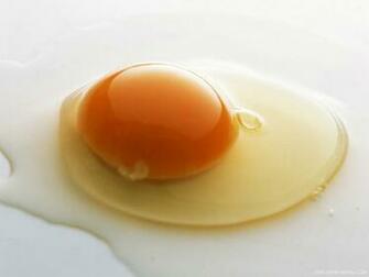 Egg Wallpaper HD Background Image Pics Photos