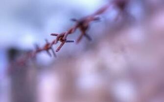Barb Wire Wallpaper Archives HDwallsource
