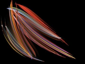 Marine Diatoms Capture Top Honors At Nikon Small World News