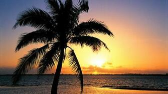 Orange Sunset On The Tropic Beach Background Wallpaper