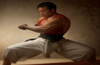 Ip Man Wallpaper HD