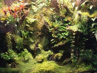 Best Vivarium Wallpaper