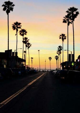 Venice Los Angeles Ca Usa Nice Places In Beach
