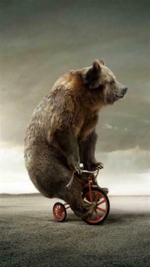 Circus Bear On Tricycle Animal iPhone Wallpaper S 3g
