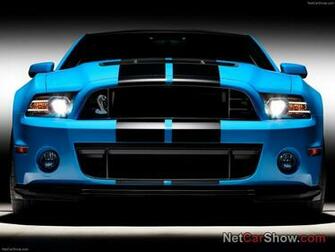 Shelby Mustangs Pictures Of New Mustang Gt500