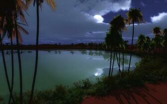 Desert Oasis Wallpaper And Image Pictures Photos