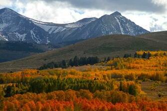 Mcgee Creek Eastern Sierra Mammoth Lakes Ca Usa