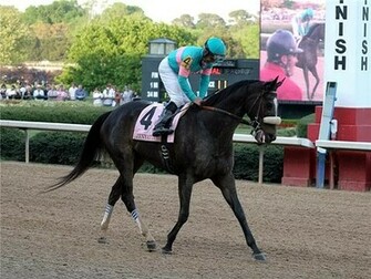 Zenyatta Apple Blossom Graphics Code