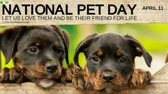 Best National Pet Day Quotes Wishes Captions