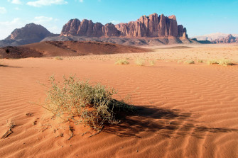 What Is A Desert Wallpaper