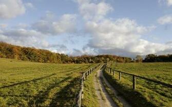 Country Road Wallpaper