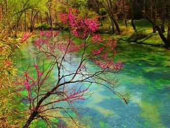 Spring Branch Traveler Photo Contest National Geographic