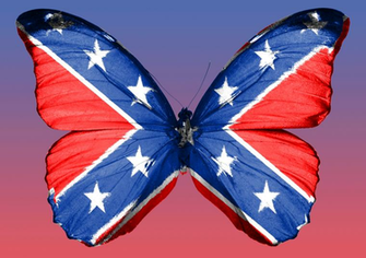 Rebel Butterfly Desktop Computer Wallpaper Background