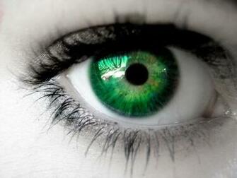 Steven Gray Green Eyes High Quality Wallpaper