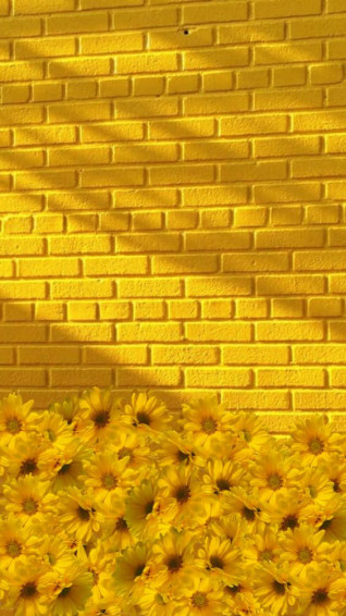 Light Yellow Wallpaper