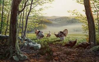 Dan Christ Gallery Wildlife Art Prints On S Deer Train