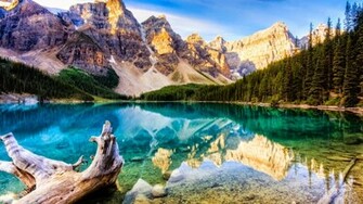 Nature Image Happy New Year Wallpaper